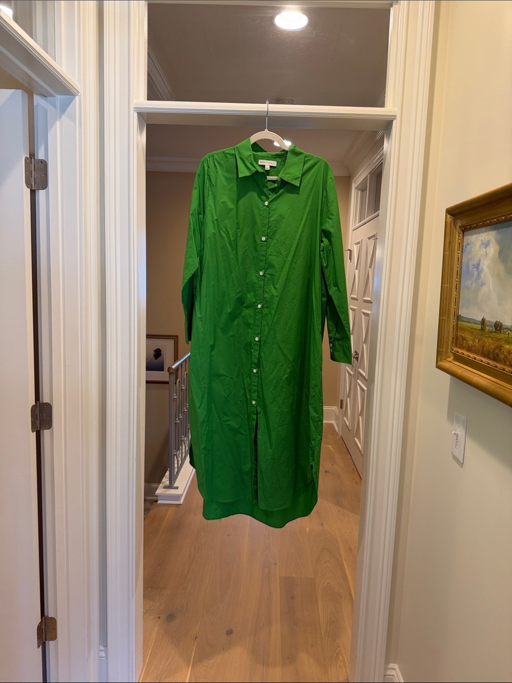 Banana Republic Green Button-Down Shirt Dress
